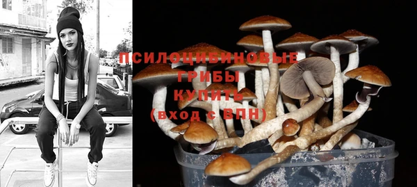 гидропоника Арсеньев