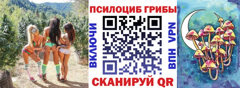 ОМГ ОМГ маркетплейс  Ермолино  Галлюциногенные грибы MAGIC MUSHROOMS 
