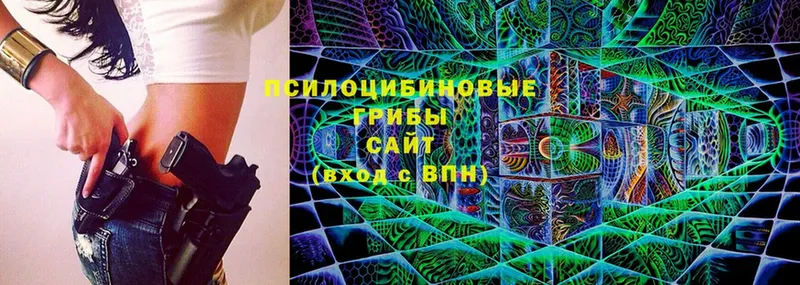 Галлюциногенные грибы Cubensis  Ермолино 